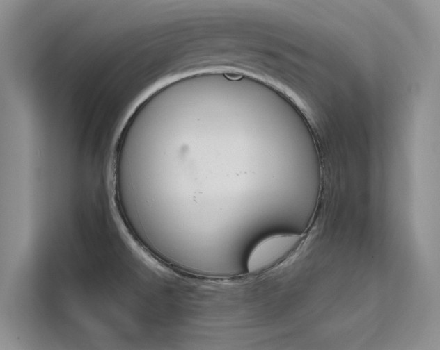 X0000111501526200907141033