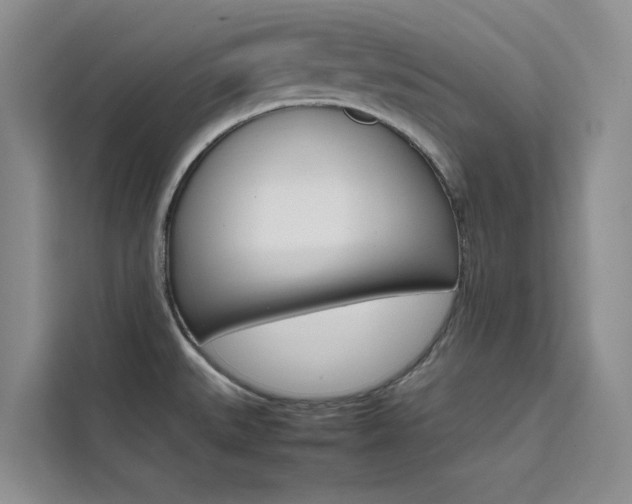 X0000111501527200907141033