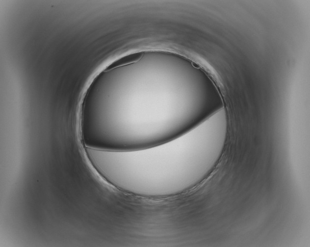 X0000111501528200907141033
