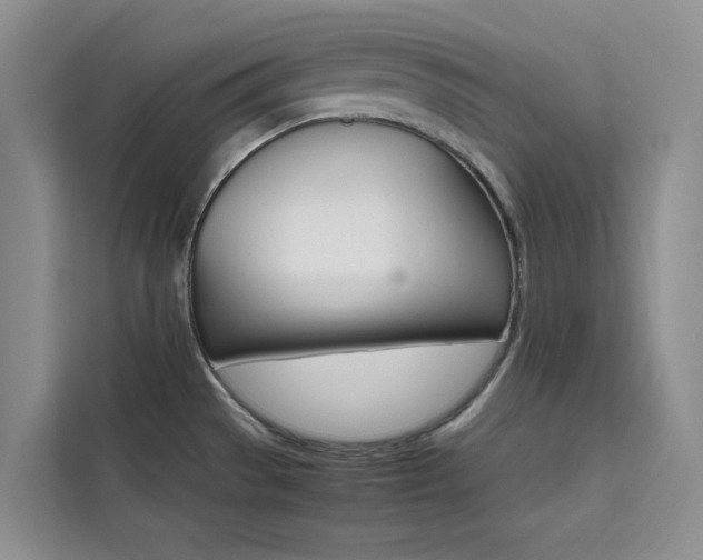 X0000111501529200907141033