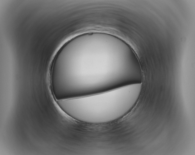 X0000111501531200907141033
