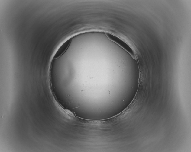 X0000111501532200907141033