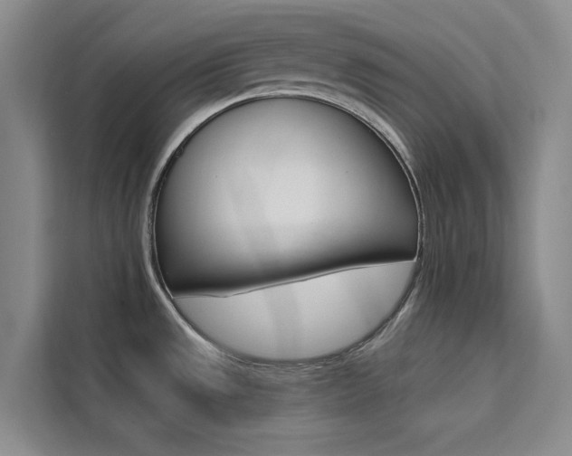 X0000111501533200907141033