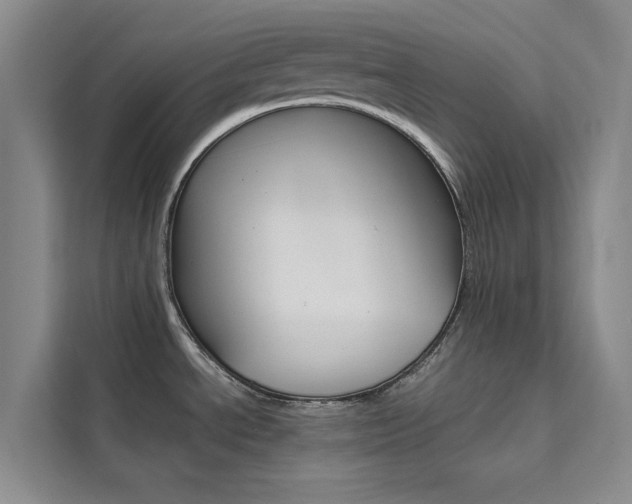 X0000111501534200907141033