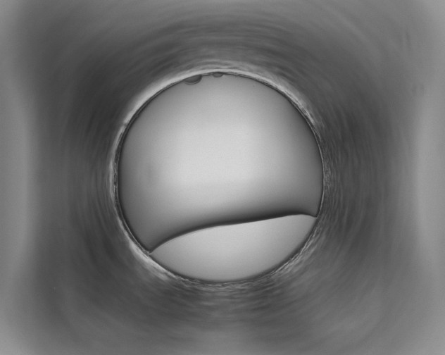 X0000111501535200907141033