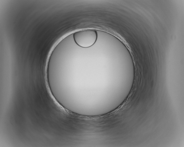 X0000111501536200907141033