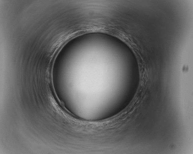 X0000111500002200907141323