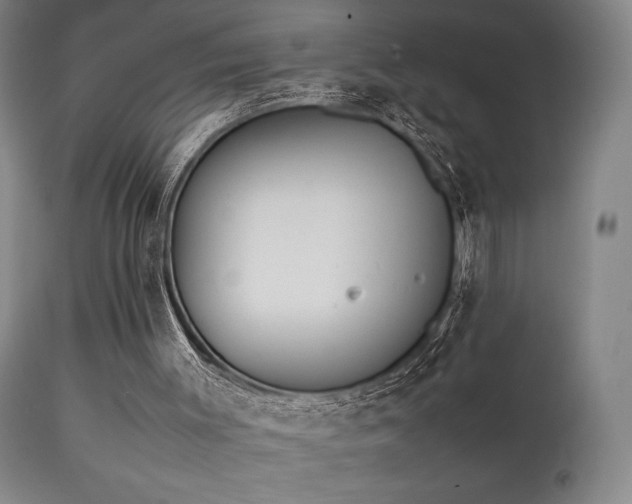 X0000111500003200907141323