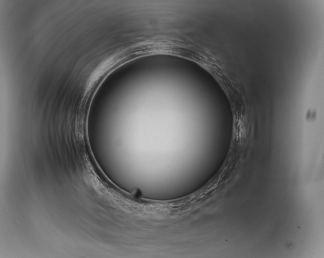 X0000111500004200907141323