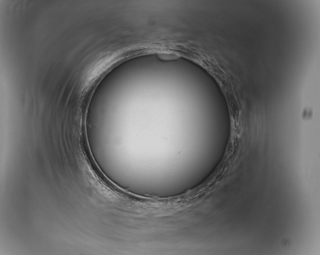X0000111500005200907141323