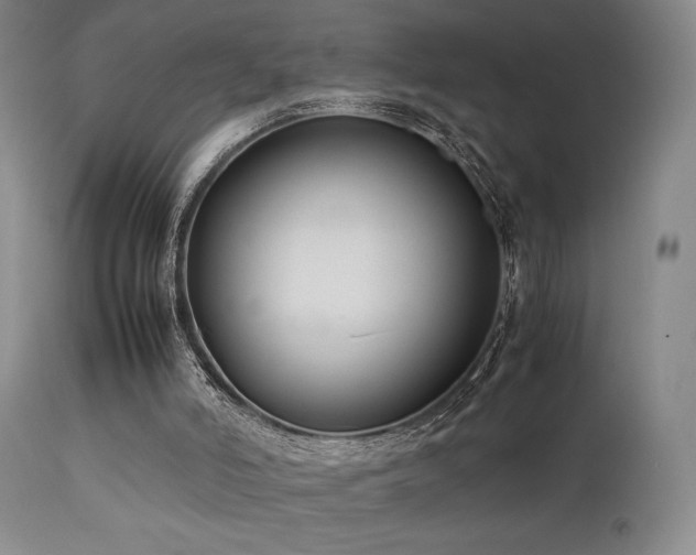 X0000111500006200907141323