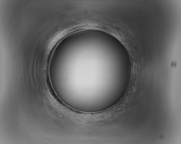X0000111500007200907141323