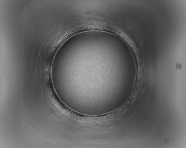 X0000111500009200907141323