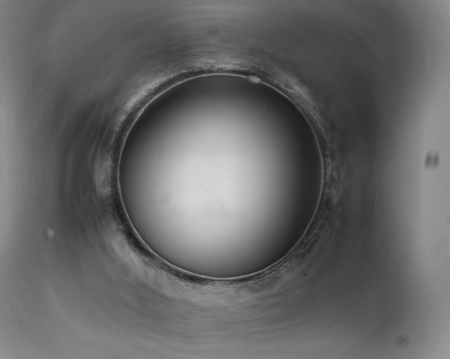 X0000111500012200907141323