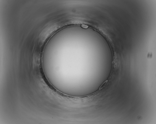 X0000111500015200907141323