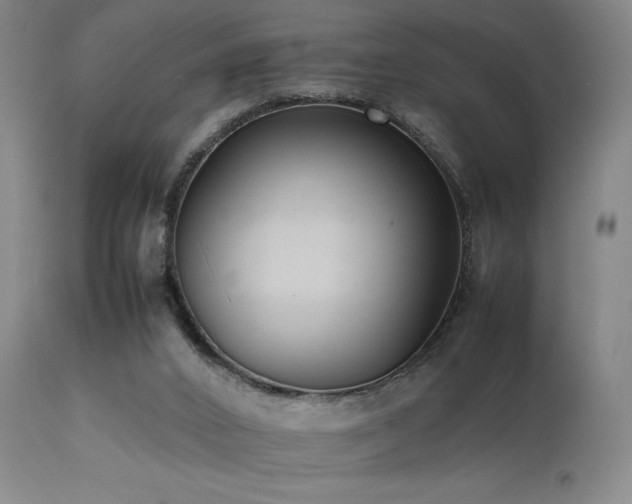 X0000111500016200907141323