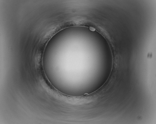 X0000111500018200907141323