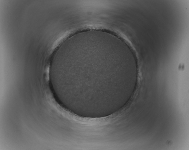 X0000111500019200907141323