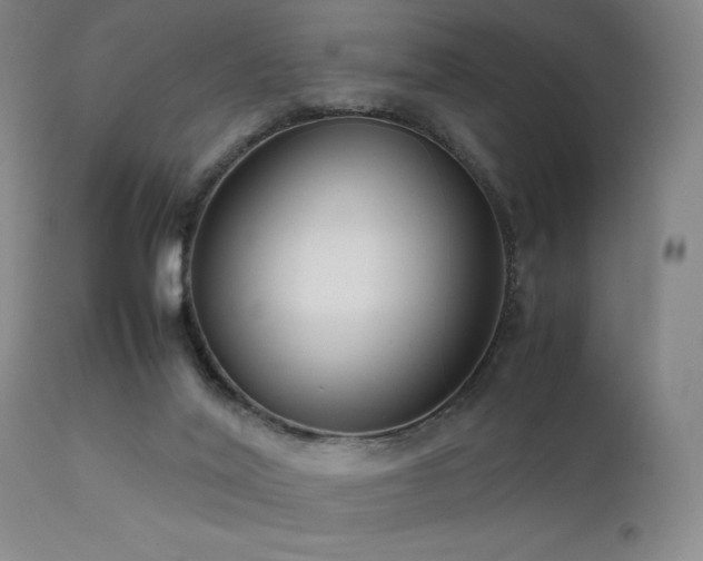 X0000111500020200907141323