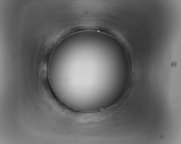 X0000111500021200907141323