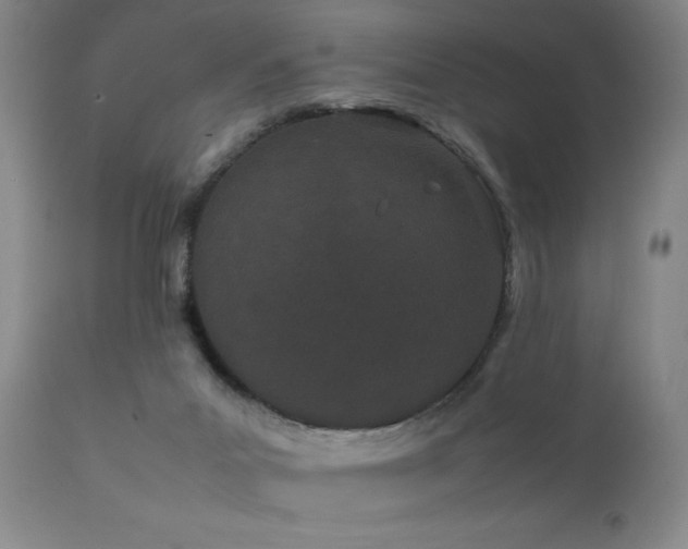 X0000111500023200907141323