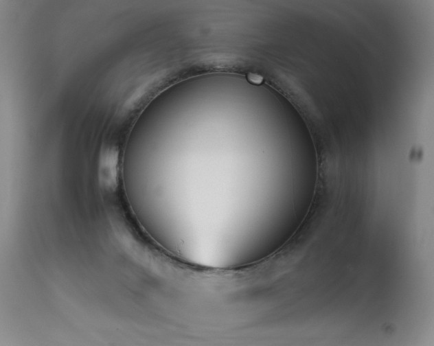 X0000111500024200907141323