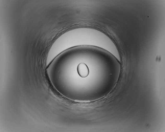 X0000111500025200907141323