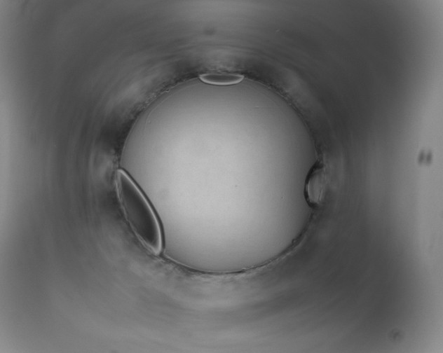 X0000111500029200907141323