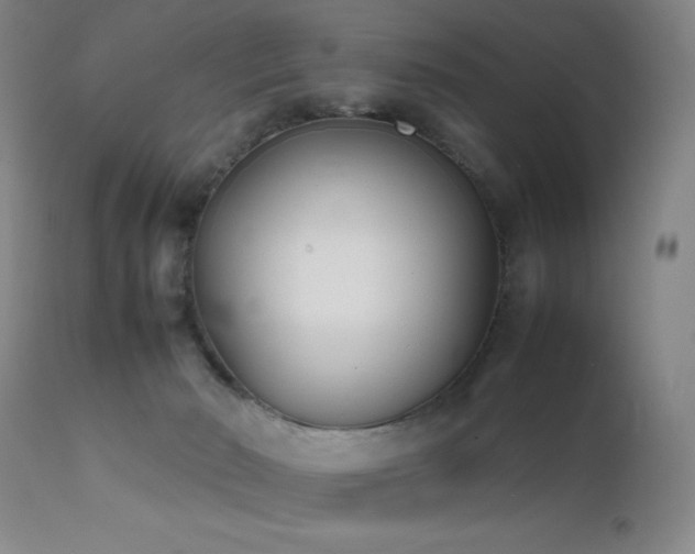 X0000111500030200907141323