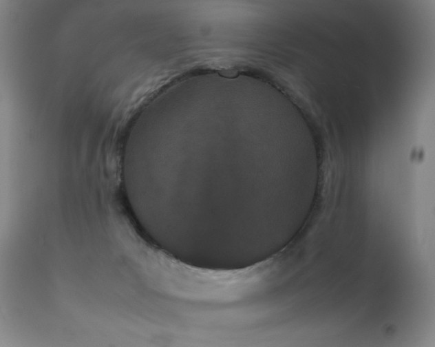 X0000111500031200907141323