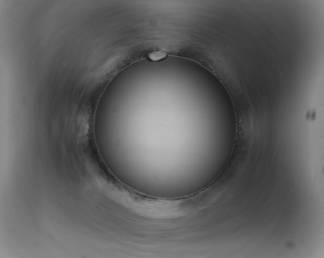 X0000111500032200907141323