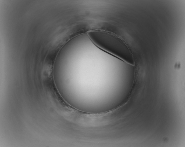 X0000111500033200907141323