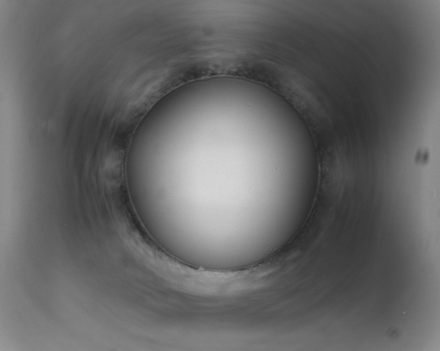 X0000111500034200907141323