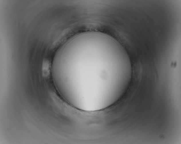 X0000111500038200907141323