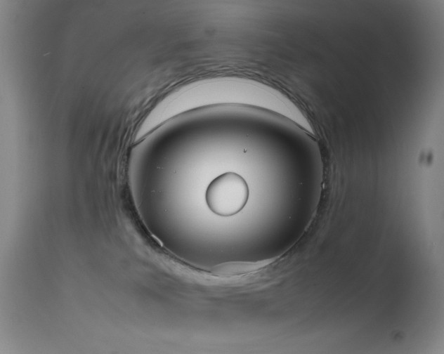 X0000111500039200907141323