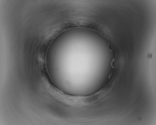 X0000111500040200907141323