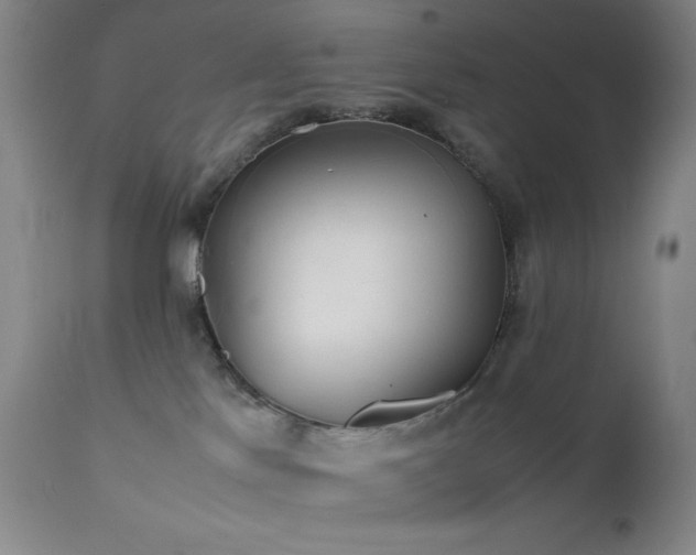 X0000111500041200907141323