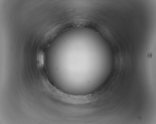 X0000111500042200907141323