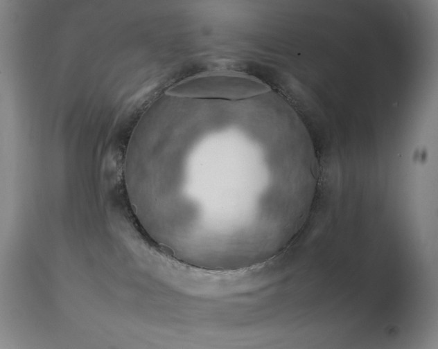 X0000111500043200907141323