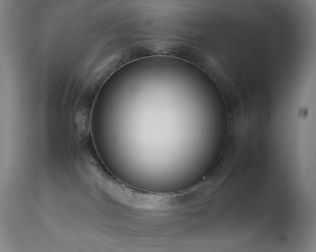 X0000111500044200907141323