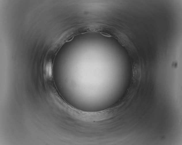 X0000111500046200907141323
