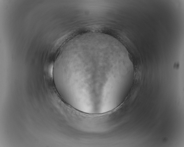 X0000111500047200907141323
