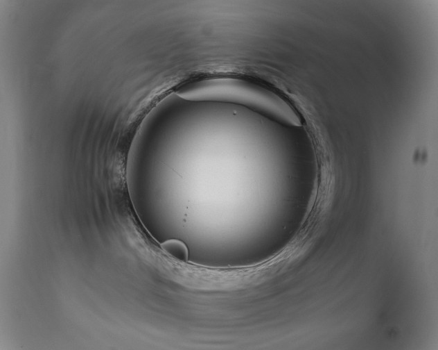 X0000111500048200907141323