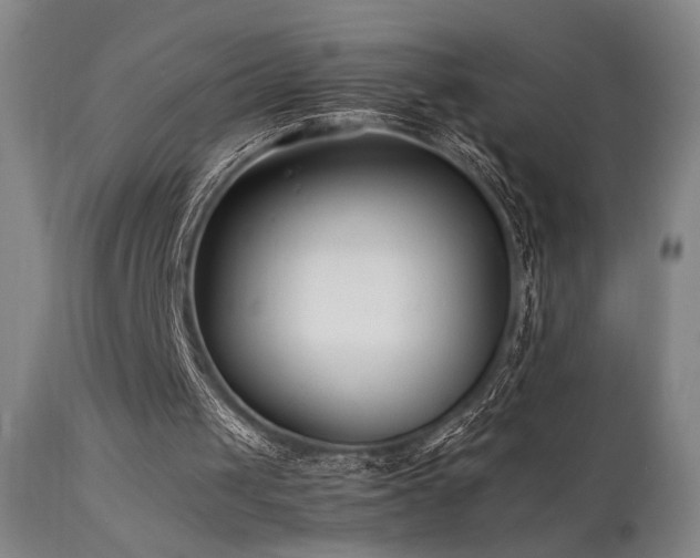 X0000111500049200907141322
