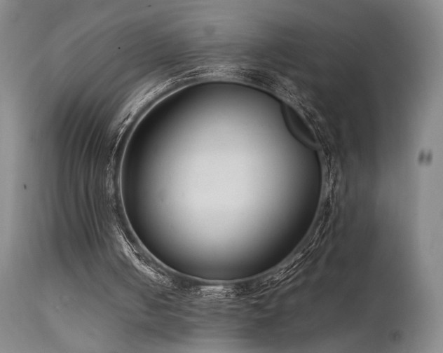 X0000111500050200907141322