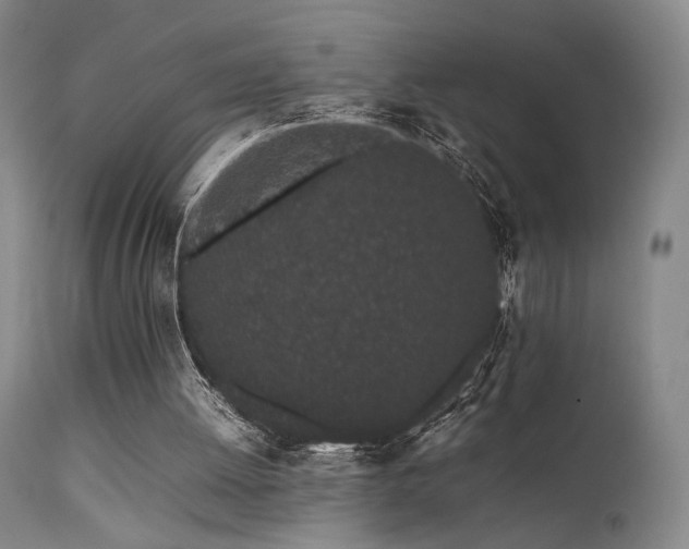 X0000111500052200907141322