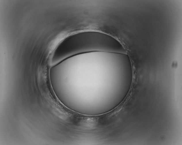 X0000111500056200907141322