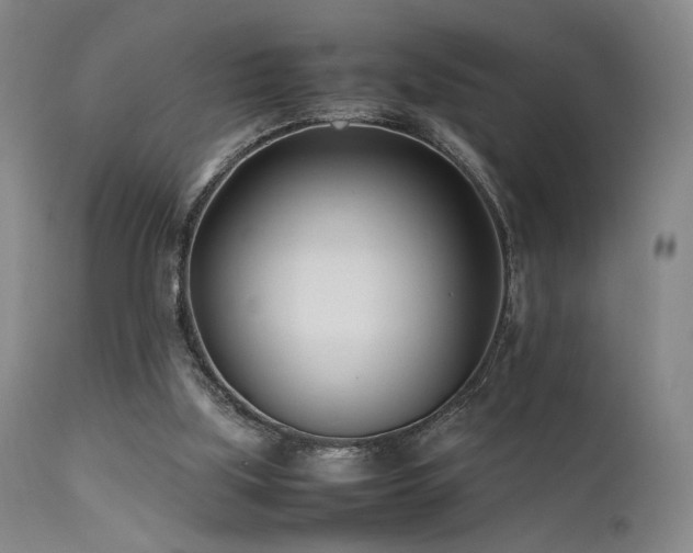X0000111500059200907141322