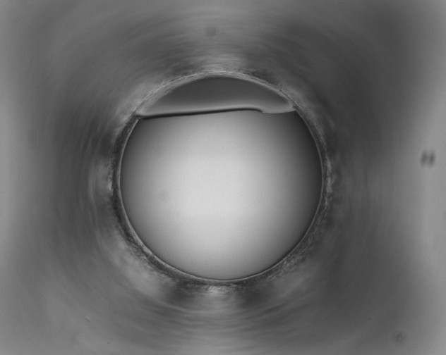 X0000111500060200907141322