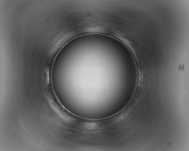 X0000111500061200907141322